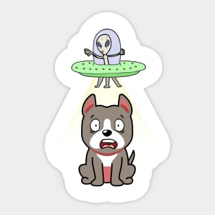 Cute grey dog is abducted by aliens Sticker